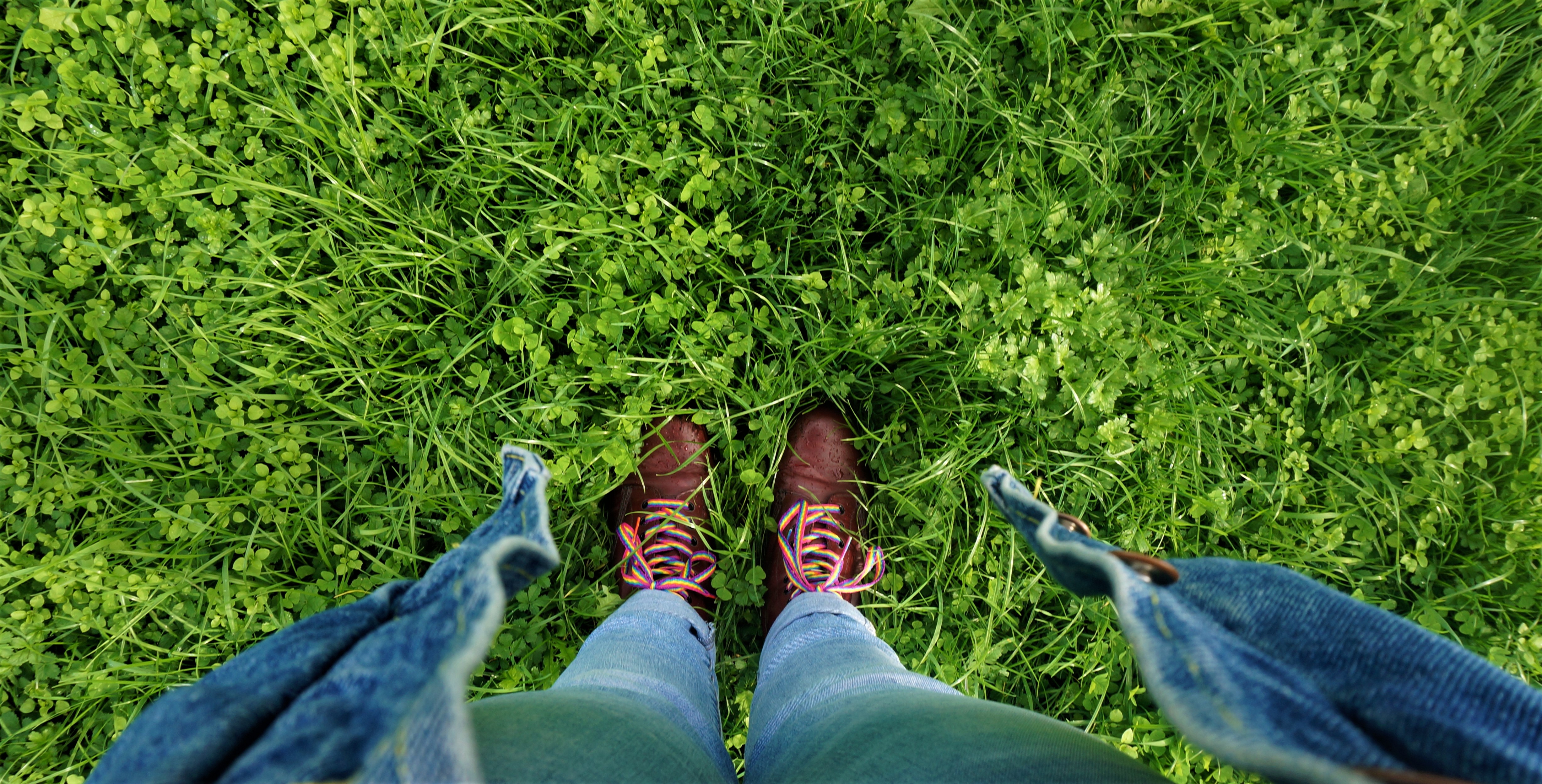 Photographie de pieds dans l'herbe verte